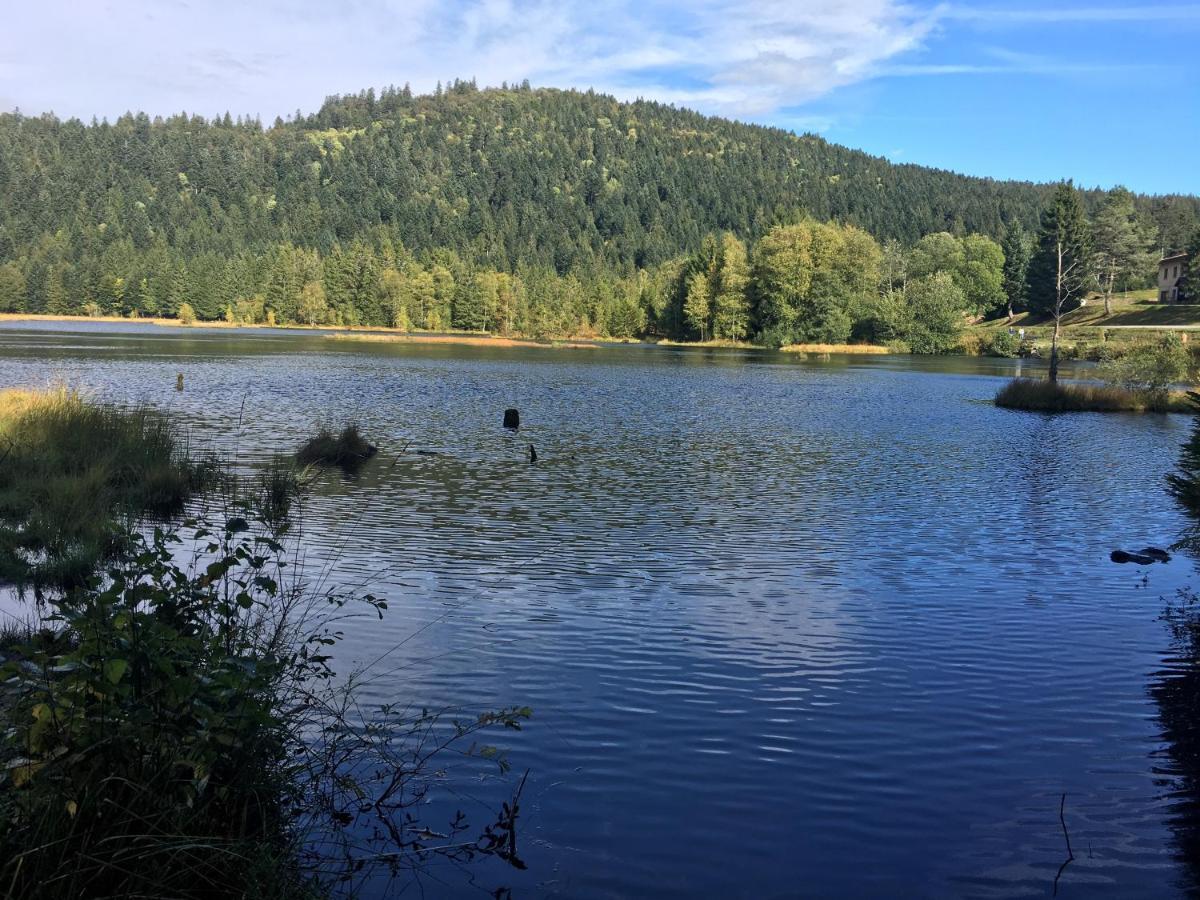 Le Bleu Du Sauna Et * Gerardmer