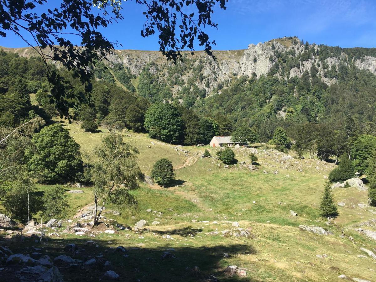 Le Bleu Du Sauna Et * Gérardmer